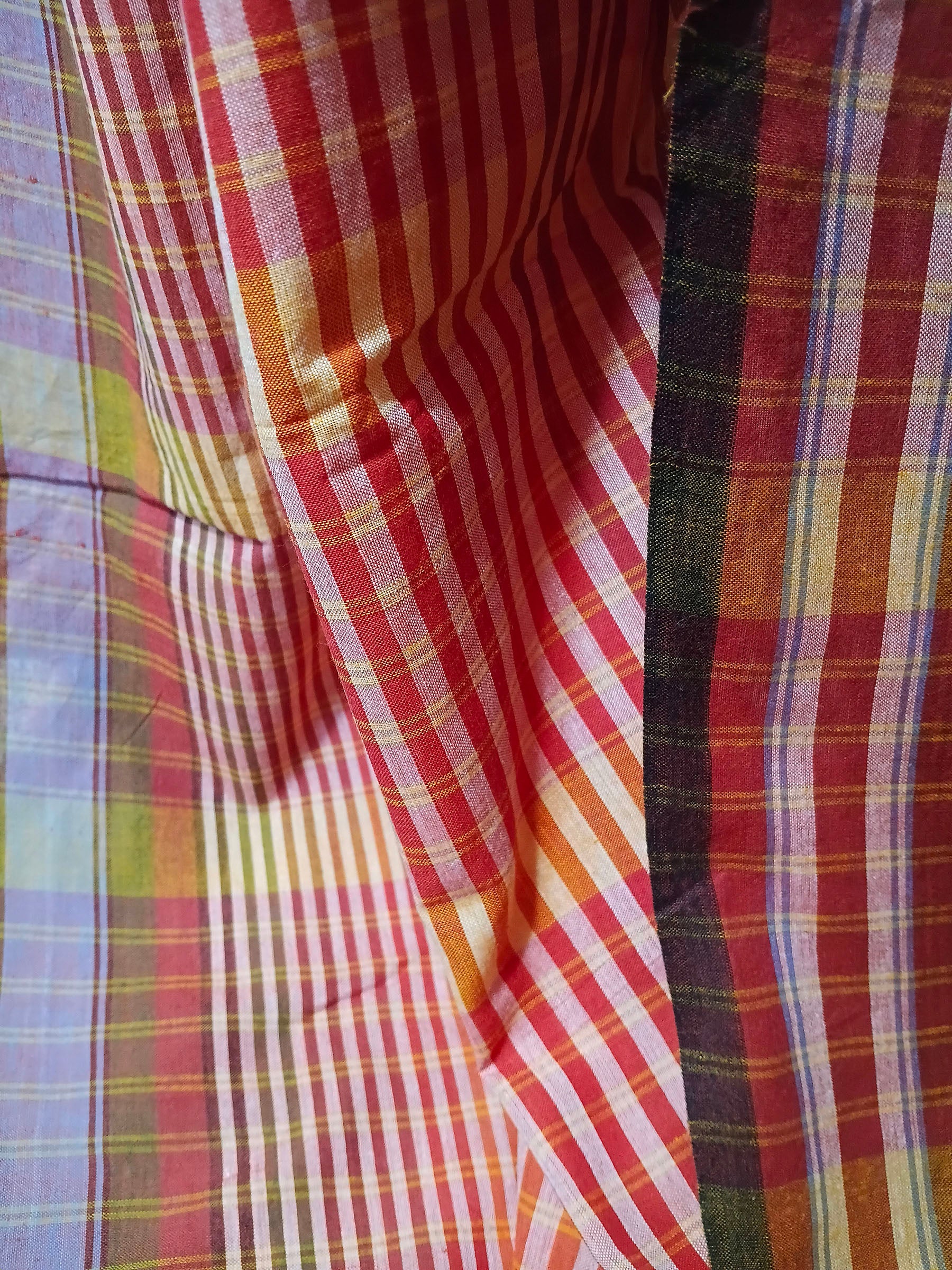 Autumn Glow Handloom Cotton Saree
